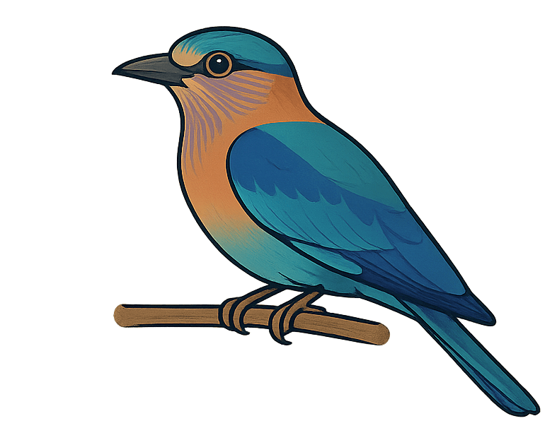 Indian Roller on IISER Bhopal campus